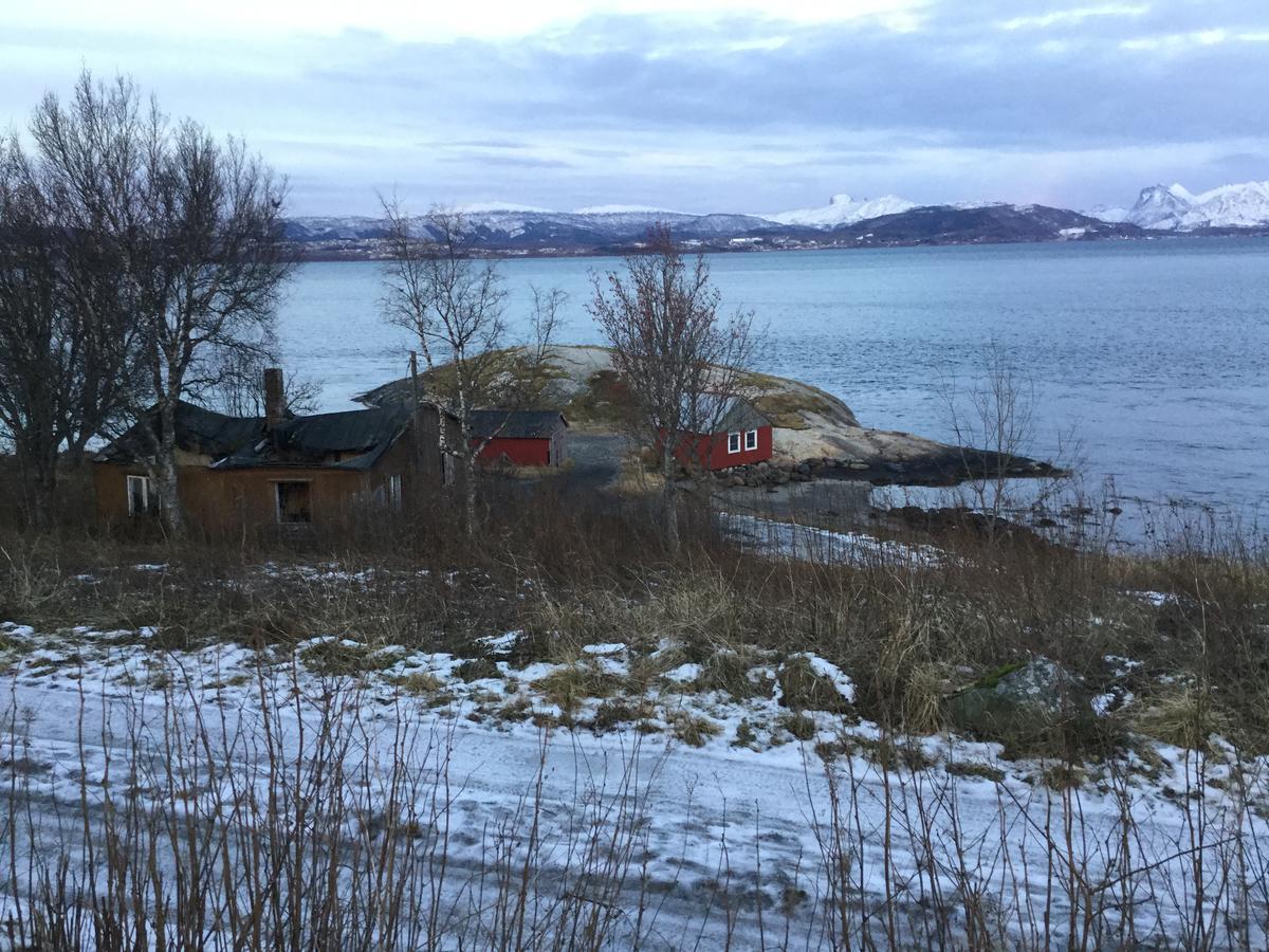 Hotel Camp Saltstraumen-Elvegard Bodø Zewnętrze zdjęcie