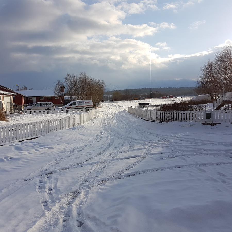 Hotel Camp Saltstraumen-Elvegard Bodø Zewnętrze zdjęcie
