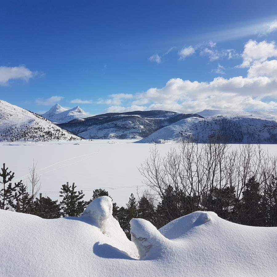 Hotel Camp Saltstraumen-Elvegard Bodø Zewnętrze zdjęcie