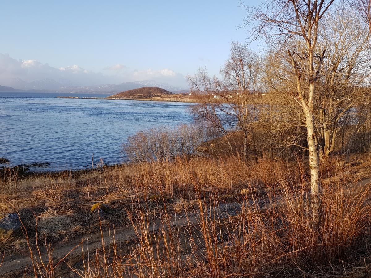 Hotel Camp Saltstraumen-Elvegard Bodø Zewnętrze zdjęcie
