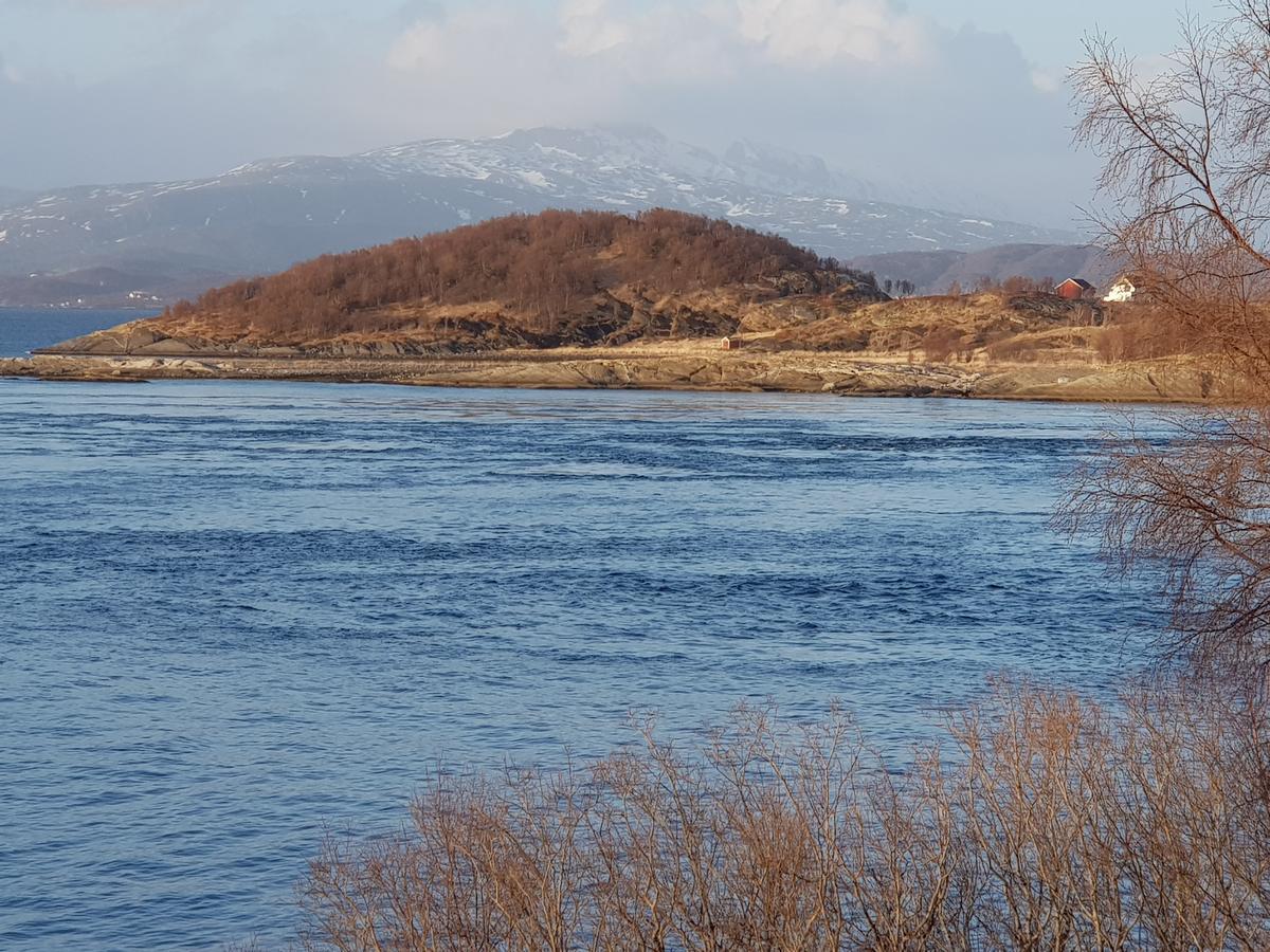 Hotel Camp Saltstraumen-Elvegard Bodø Zewnętrze zdjęcie